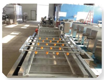 Food Cleaning Machine