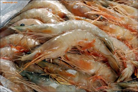Sea Food Processing 